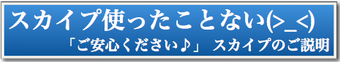 スカイプ使ったことない